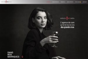 Site sur le vin et spiritueux